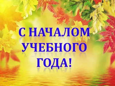 Плакат вертикальный С началом учебного года! | Баннер, Размеры плакатов,  Плакат