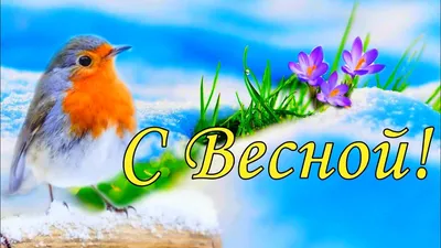 ШУБЫ ДОЛОЙ! С ПЕРВЫМ ДНЕМ ВЕСНЫ ТЕБЯ;) — БЛОГ ДОРИС ЕРШОВОЙ