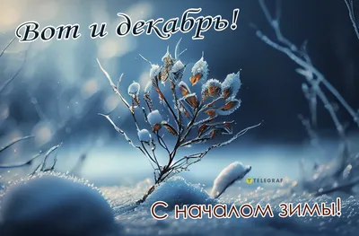 Иллюстрация С началом Зимы! ❄ Радуйте родных и близких, согревайте