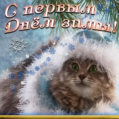 🌠☃️🌲🌞🌲☃️🌠 С началом Зимы! | Открытки, Смешные открытки, Зима