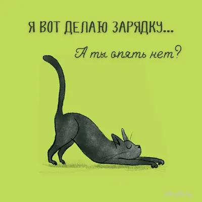 Термонаклейка на все виды и любой цвет одежды (DTF) надписи, приколы, смешные  надписи. - купить с доставкой по выгодным ценам в интернет-магазине OZON  (1130312043)