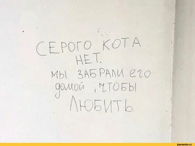 Наклейка интерьерная на стену и авто, надписи на дверь и ноутбук,  холодильник и унитаз, на автомобиль, зеркало или дневник. Прикольные  наклейки с приколами, смешные. - купить по выгодным ценам в  интернет-магазине OZON (