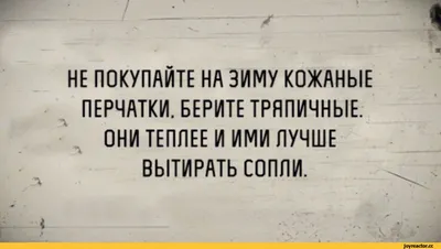 Смешные картинки с надписью про жизнь | Детские цитаты, Смешные детские  цитаты, Веселые мысли