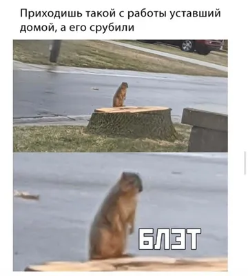 К