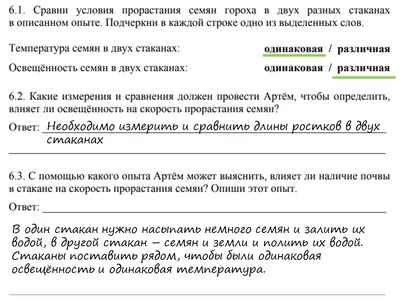 6.4 Дорожный знак «Парковка (парковочное место)» ⋆ ЭкоДорСнаб