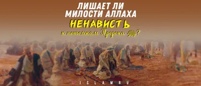 Модная новинка, медаль ислама, Аллаха, Корана, искусственный циркон для  мужчин и женщин, индивидуальные амулеты, ювелирные изделия | AliExpress