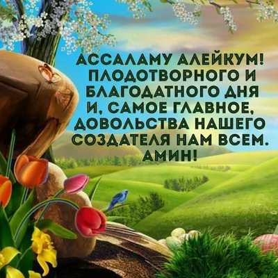 Пин от пользователя Наталья Борисенко на доске Ассаляму аляйкум и другие  пожелания | Фотографии для мотивации, Картинки, Религиозные цитаты