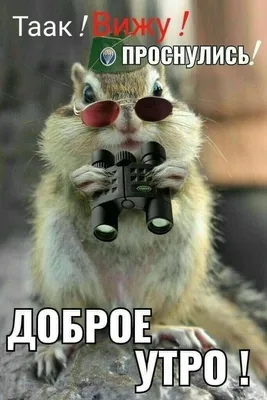 Доброе утро с ДЦ Мартен!