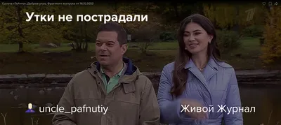 Утки не пострадали