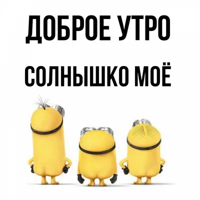 Открытка с именем Солнышко моё Доброе утро утречко. Открытки на каждый день  с именами и пожеланиями.