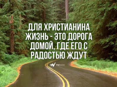 Неизвестные заменили название села на надпись «Путин – вор»