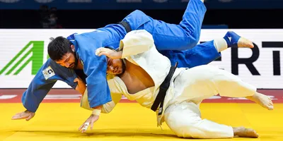 Толстовка худи дзюдо Judo J3 купить