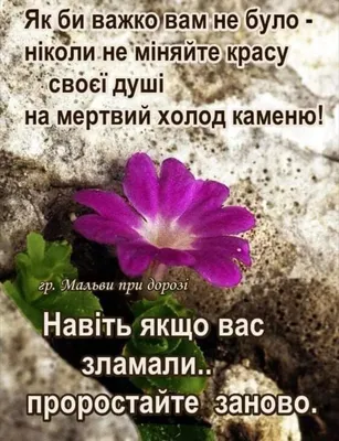 Pin by Галина on Бог є любов | Plants