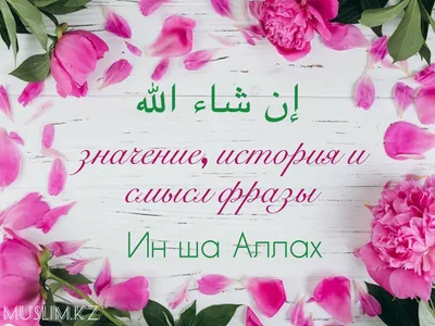 Арабские цитаты Alhamdulillah, стикер с надписью «Praise», Исламская  Наклейка на стену, Виниловая наклейка, художественное украшение | AliExpress