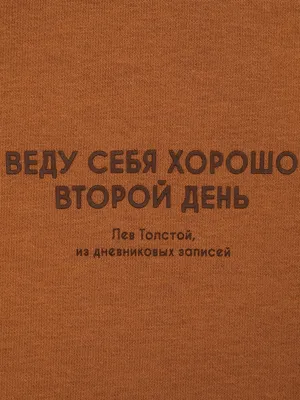 Худи оверсайз с надписями Литрес, цвет: темно-бежевый купить в  интернет-магазине ТВОЕ, арт.97255