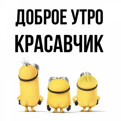 Мужской фартук для кухни с прикольной надписью "Красавчик готує №2"  бордовый (ID#1170953930), цена: 520 ₴, купить на 