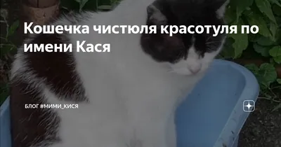 Открытка с именем Красотуля Прости меня. Открытки на каждый день с именами  и пожеланиями.