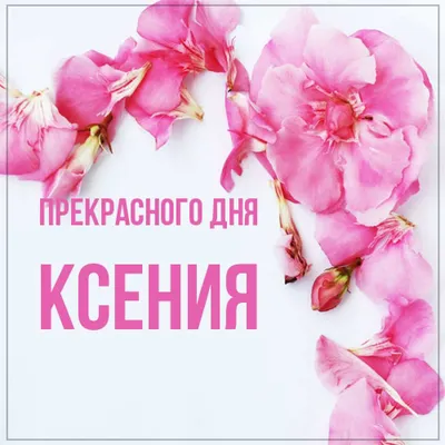 Чипборд. Ксения