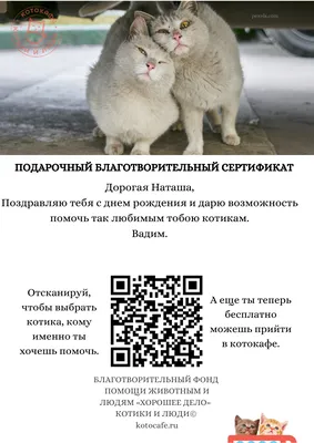 Сертификаты Котокафе Котики и Люди