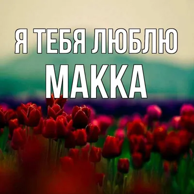 Открытка с именем Макка С днем рождения картинки. Открытки на каждый день с  именами и пожеланиями.