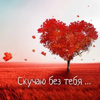 Спокойной ночи Серсёнок... | Book quotes, Quotations, Love story