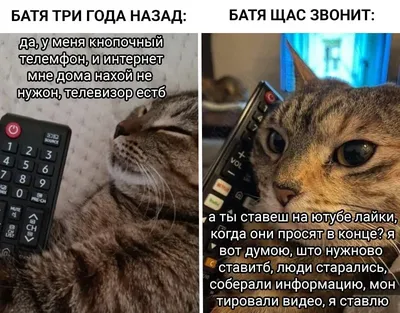 Дантес on X: "/7NxVGP68de" / X