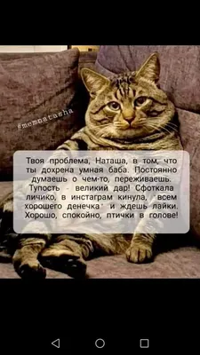 Наташа Наташенька | ВКонтакте