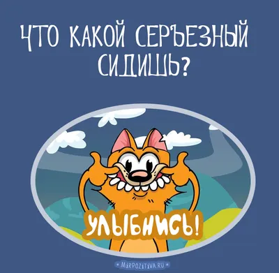 Наклейки Надписи Мотивация — купить в интернет-магазине OZON по выгодной  цене