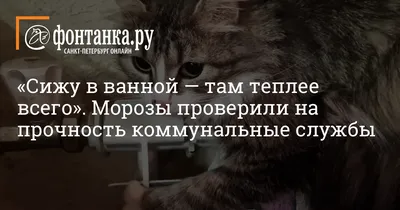 Не хочу жить от зарплаты до зарплаты»: Ленар Хамитов - компания «УЮТокна»,  рассказал, как стать успешным предпринимателем! - 