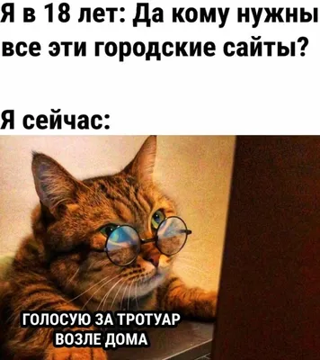 Прикольные афоризмы на все случаи жизни | Жизнь в стиле Ноль отходов (zero  waste) | Дзен