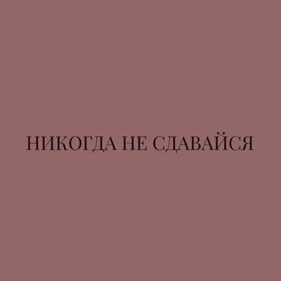 Чехол с надписью Никогда не сдавайся позорься до конца для iPhone 11  силиконовый купить недорого в интернет-магазине