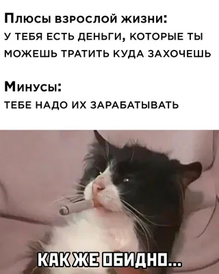 Обидно, если ночью приснился рабочий день, а утром опять надо на работу!  Но… | Повседневная философия | Дзен