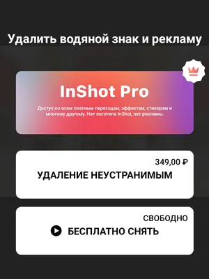 Как убрать надпись "Inshot" при выводе видео в редакторе Inshot. | Иван  Путешествует | Дзен