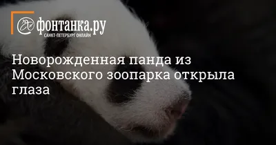 ✿⊱Золотые слова и Стихи для души ⊰✿ | Facebook