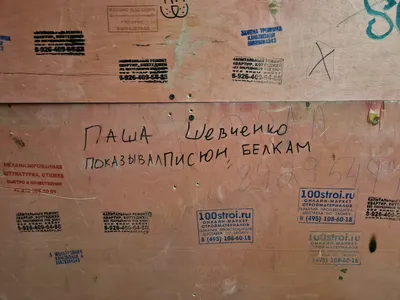 Павел знал толк в развлечениях | Пикабу