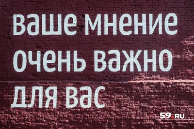 Немецкий футбольный союз потерял спонсора из-за запрета ФИФА на капитанские  повязки с надписью One Love - Ведомости.Спорт