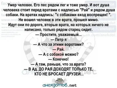 Барнаульцы начали продавать вещи в стиле сериала «Слово пацана» - 14  декабря 2023 - 