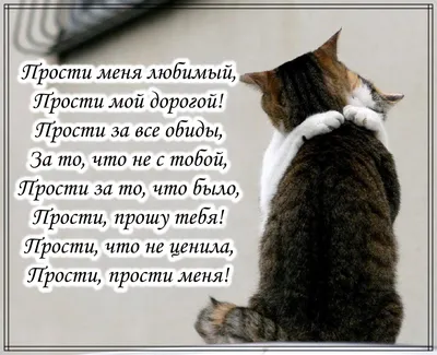 Купить Силиконовый браслет с надписью "Я люблю тебя. Мне очень жаль. Прости  меня. Я благодарю" подростков за 230р. с доставкой