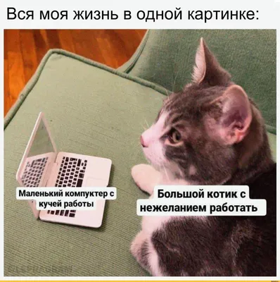 Чем могут быть опасны надписи на стенах домов, рассказали судебные эксперты