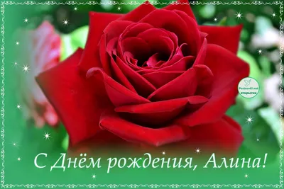 С днем рождения, Алина, все улыбки и цветы для тебя