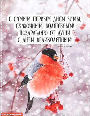 Открытка с Первым Днём Зимы, со снегирём и пожеланием • Аудио от Путина,  голосовые, музыкальные