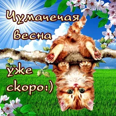 Картинки "Скоро весна" (60 штук)