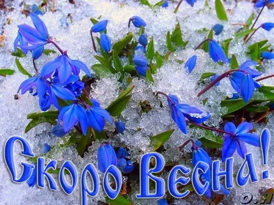 Картинки скоро весна (48 открыток)