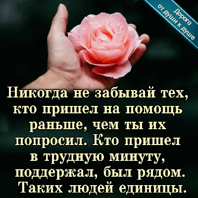 Купить РОЗОВЫЕ стикеры с надписью «Спасибо», круглые 50-500 шт., этикетки,  наклейки для упаковки, персонализированные канцелярские наклейки | Joom