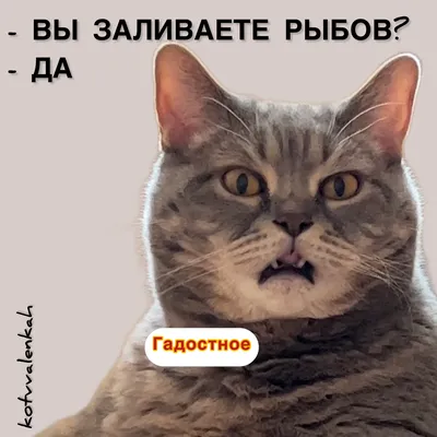 Суббота!) Можно позволить себе немного расслабиться..)