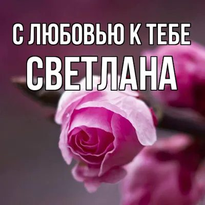 С Днем ангела 26 февраля всех Светочек! Открытки и картинки С ИМЕНИНАМИ  СВЕТЛАНА с надписями С Днем ангела 26 февраля всех Светочек! Отк… |  Открытки, Именины, Ангел