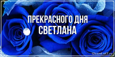 Букет и надпись - Светлана, поздравляю с днём рождения