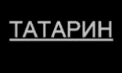 Вымпел "Пустой - ТАТАРИН" двухсторонний купить по низким ценам в  интернет-магазине Автолонг, код: 11145, артикул ИМЕНА