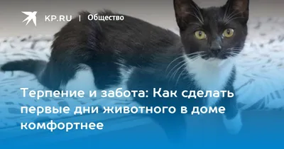 Вооружённый конфликт на востоке Украины (2014-2022) и Российско-Украинская  война (2022-2023) | Страница 22529 |  | Израильский  Военно-Исторический Форум