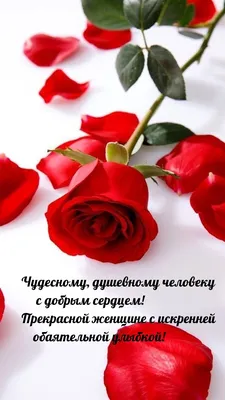 Купить Открытка поздравительная "Ты прекрасна!" розовый фон,8 х 6 см в  Новосибирске, цена, недорого - интернет магазин Подарок Плюс